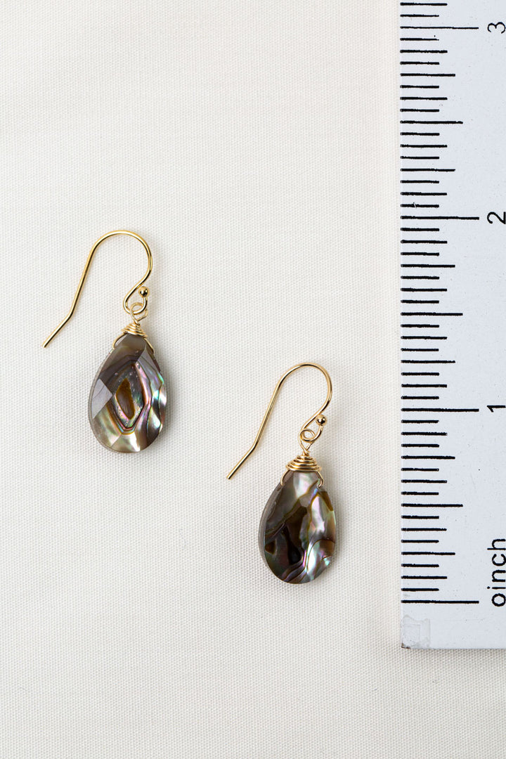 Alchemy Abalone Teardrop Simple Earrings