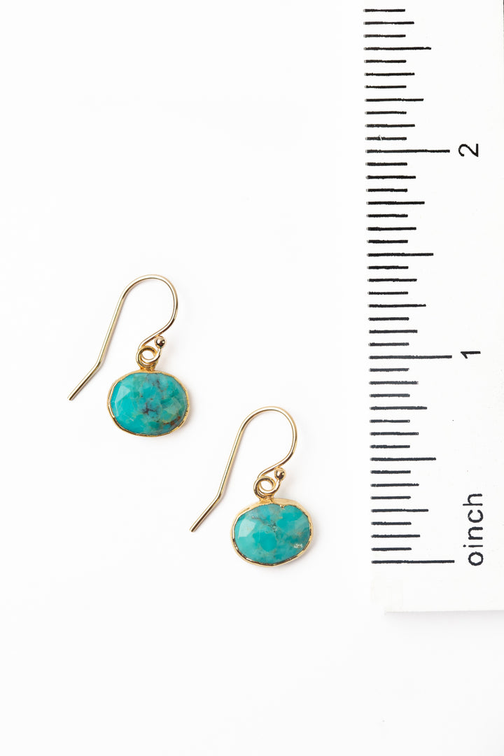 Favorites Oval Turquoise Simple Earrings