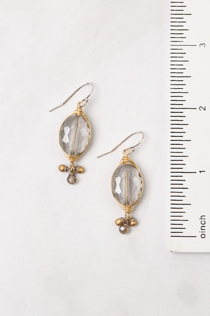 Silver & Gold Crystal Herringbone Earrings