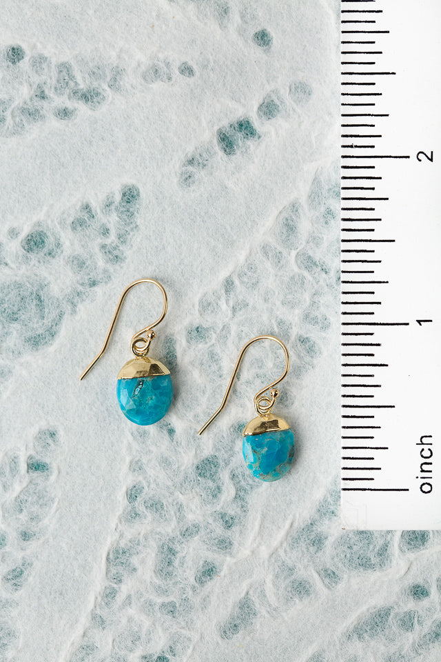 Favorites Turquoise Simple Earrings