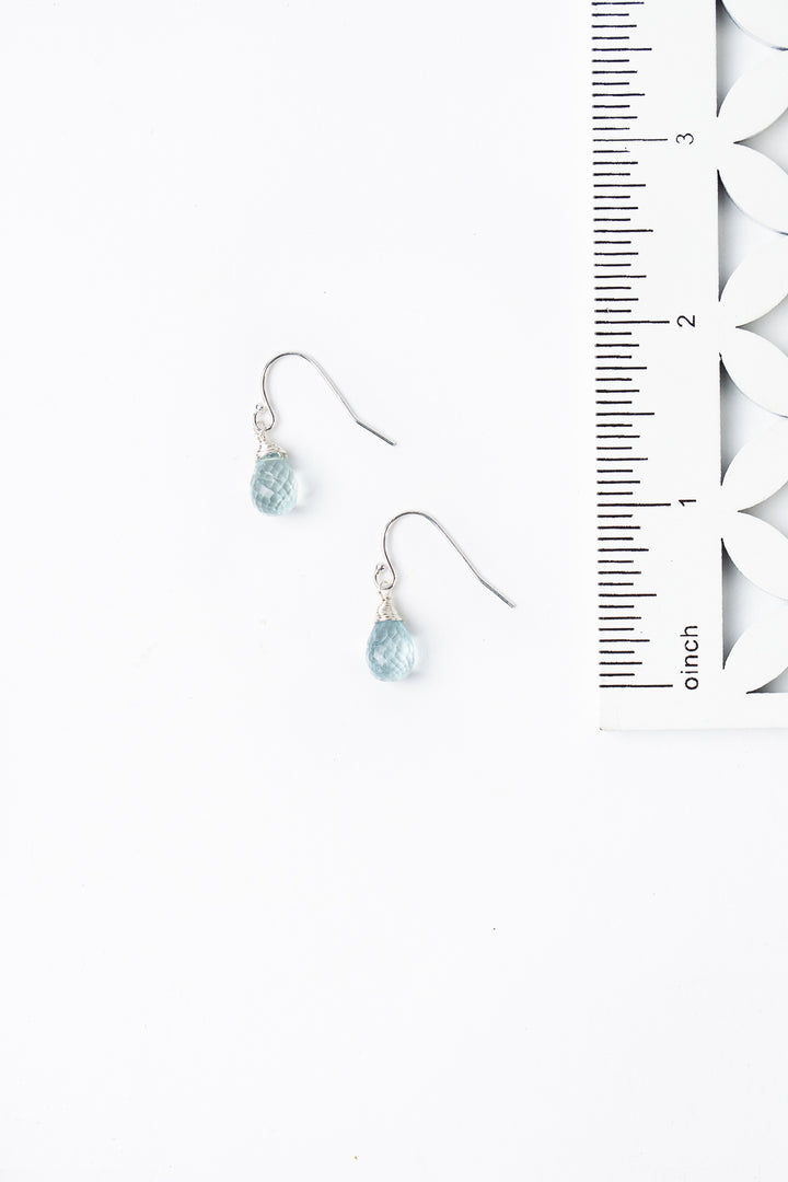 Birthstone March Silver Aquamarine Simple Earrings